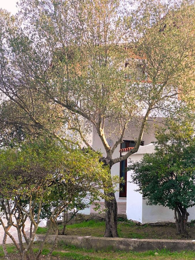 Casa Vacanza Porta Smeralda Όλμπια Εξωτερικό φωτογραφία