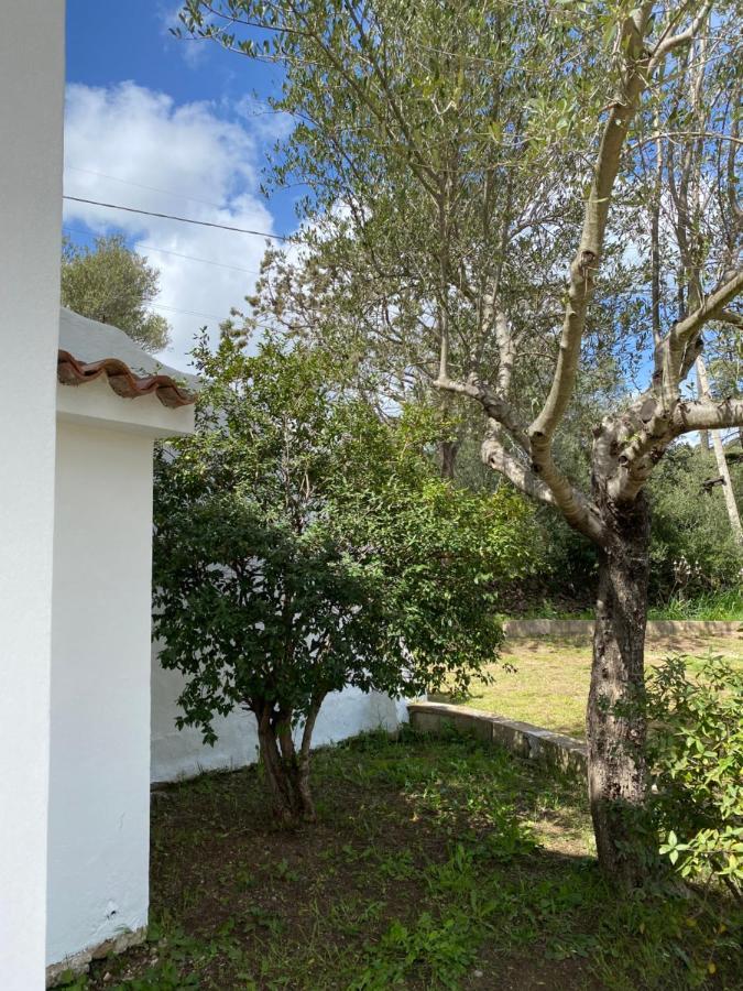 Casa Vacanza Porta Smeralda Όλμπια Εξωτερικό φωτογραφία
