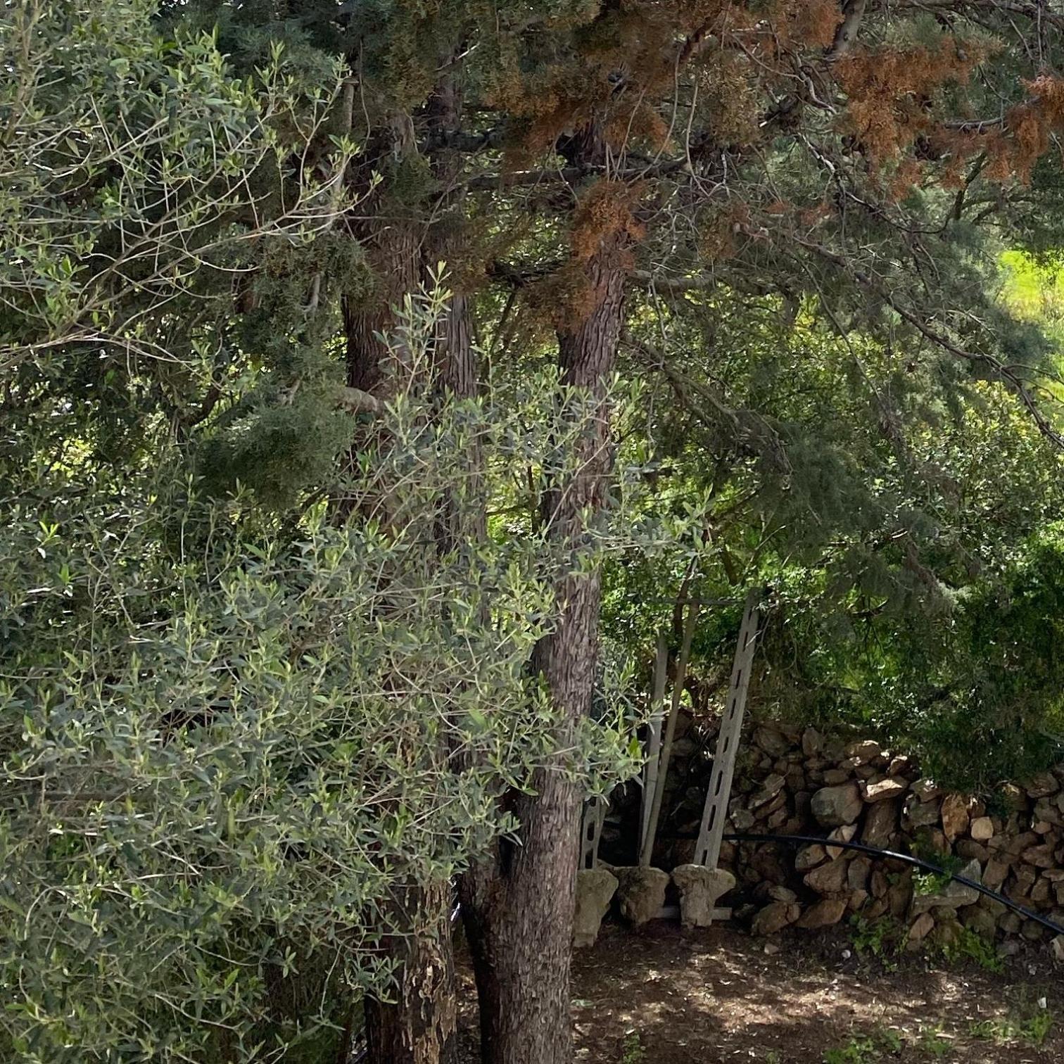 Casa Vacanza Porta Smeralda Όλμπια Εξωτερικό φωτογραφία