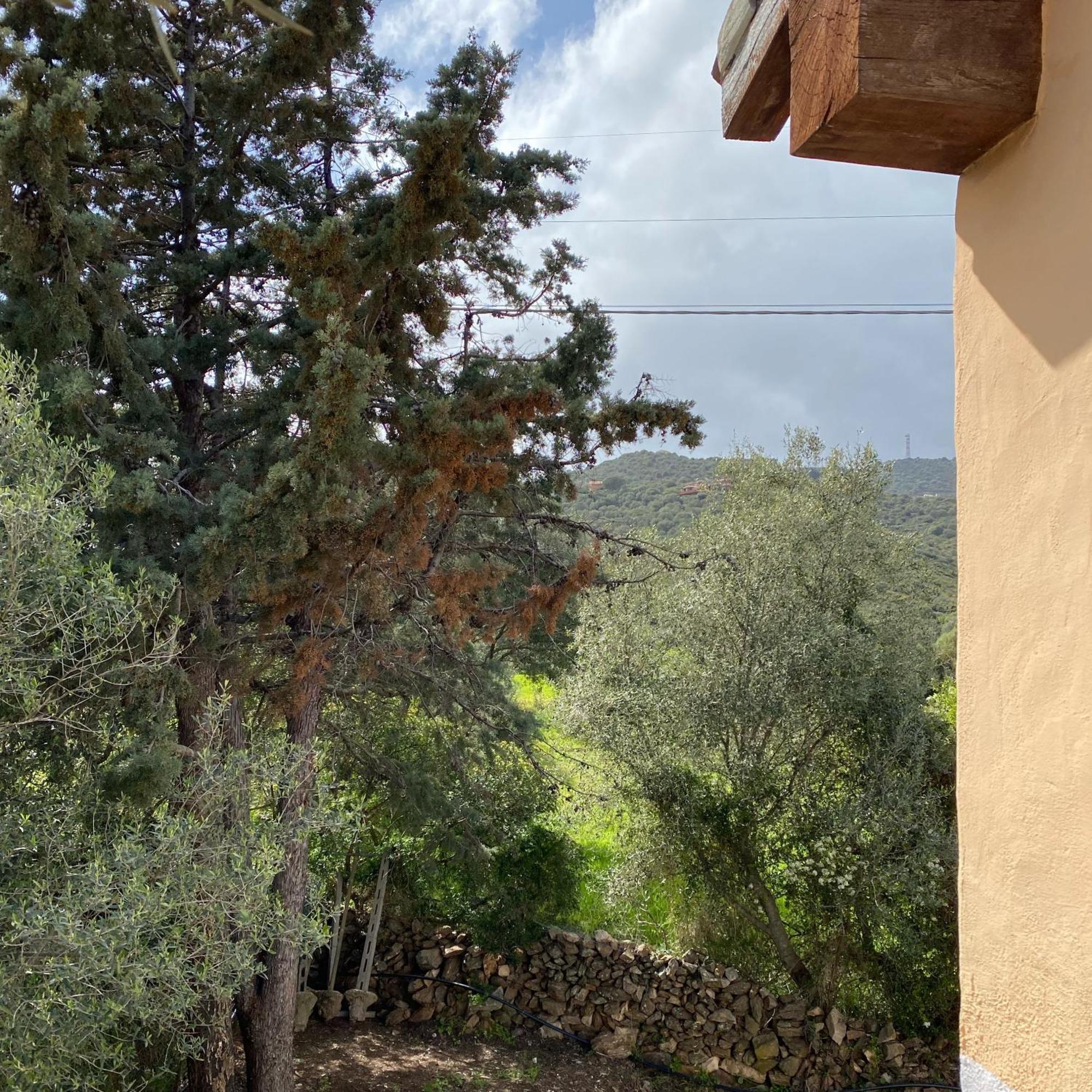Casa Vacanza Porta Smeralda Όλμπια Εξωτερικό φωτογραφία