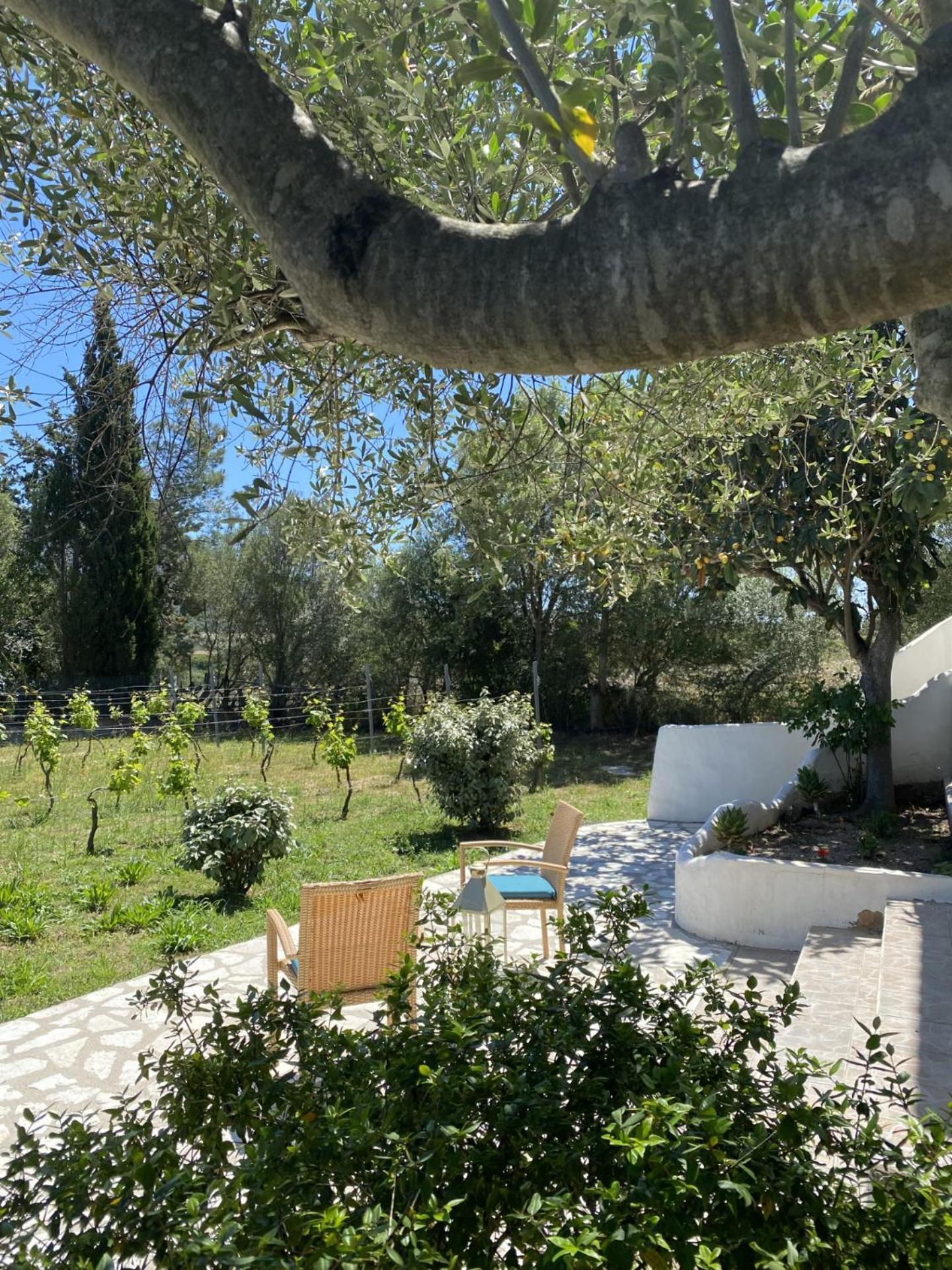 Casa Vacanza Porta Smeralda Όλμπια Εξωτερικό φωτογραφία